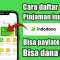 Pinjaman Online Indodana Solusi Cepat, Aman, dan Langsung Cair